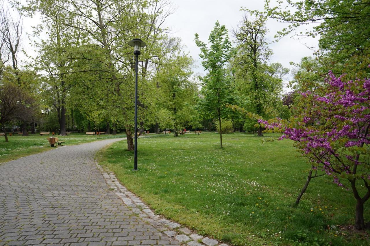 Apartament Gliwice Centrum Fredry II 外观 照片